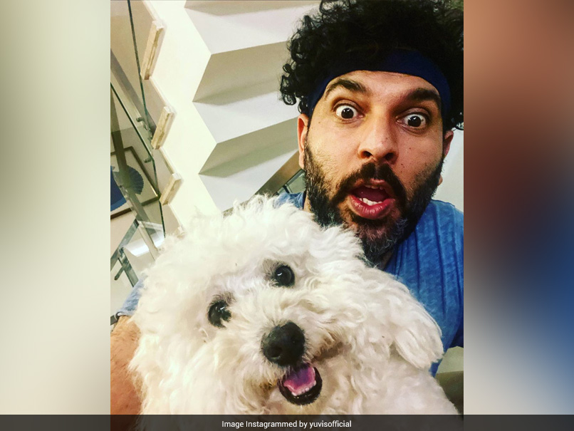 IPL 2020: Yuvraj Singh Pokes Fun At David Warner After SunRisers Hyderabad Captain Launches YouTube Channel