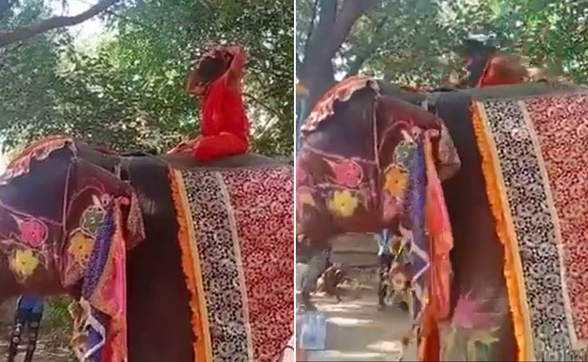 Ramdev, Mid-Yoga, Falls Off Elephant, Is Not Injured