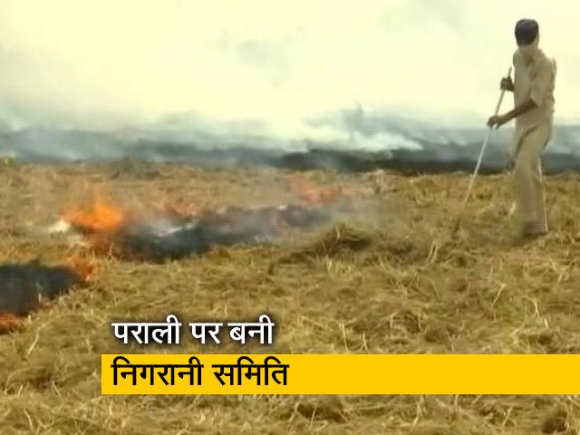 पराली पर बनी निगरानी समिति, पूर्व न्यायाधीश को जिम्मेदारी