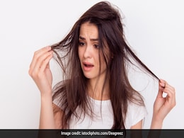 Struggling With Hair Fall? Add These Plant-Based Foods To Your Diet Today Struggling With Hair Fall? Add These Plant-Based Foods To Your Diet Today