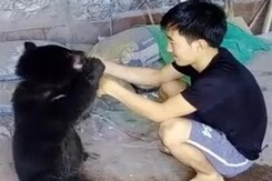 Take Care Of Luba: Arunachal Boy's Tearful Goodbye To Rescued Bear Cub Take Care Of Luba: Arunachal Boy's Tearful Goodbye To Rescued Bear Cub