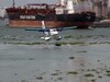 Watch: Sea Plane Lands In Kerala Channel, Top Naval Officers Greet Crew Watch: Sea Plane Lands In Kerala Channel, Top Naval Officers Greet Crew