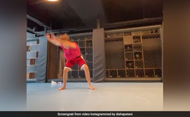 दिशा पटानी ने वर्कआउट करते हुए हवा में लगाई छलांग, Video शेयर कर कहा- बटरफ्लाई किक...