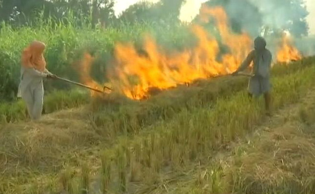 Stubble Burning Incidents Rose By 44.5% In Punjab In 2020: Centre To Top Court