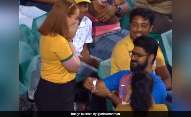 Aus Vs Ind: Indian boy propose to Australian girlfriend, Maxwell claps while watching Watch video Aus Vs Ind: Indian boy propose to Australian girlfriend, Maxwell claps while watching Watch video
