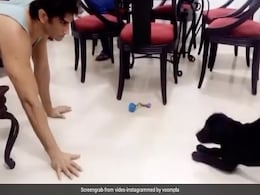Sushant Singh Rajput का थ्रोबैक Video हुआ वायरल, फज के साथ खेलते आए नजर Sushant Singh Rajput का थ्रोबैक Video हुआ वायरल, फज के साथ खेलते आए नजर