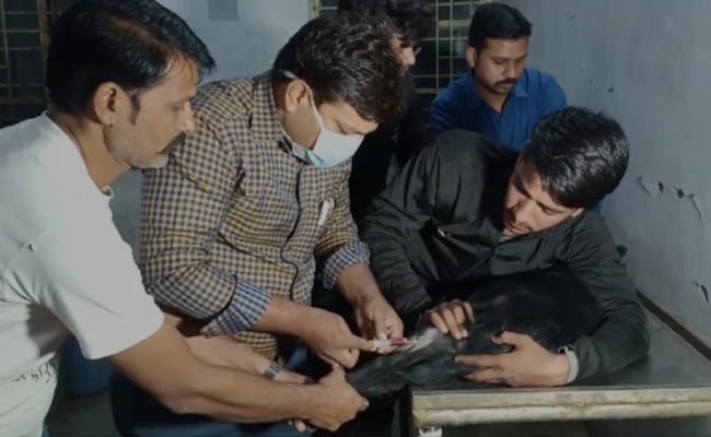 मध्य प्रदेश: 3 साल के कुत्ते का कराया DNA टेस्ट, जानिए किस वजह से पुलिस को लेना पड़ा ये फैसला