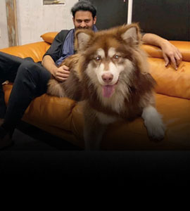 Prabhas' Pic With Charmme Kaur's 'Baby Boy' Is Breaking The Internet Prabhas' Pic With Charmme Kaur's 'Baby Boy' Is Breaking The Internet