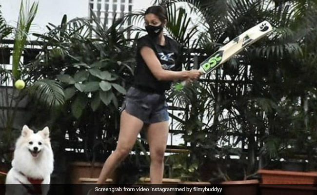 Malaika Arora ने बेटे अरहान के साथ खेला क्रिकेट, यूं शॉट लगाती नजर आईं एक्ट्रेस- खूब Viral हो रहा है Video