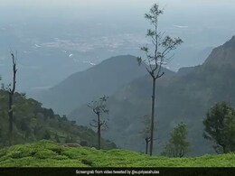 Watch: IAS Officer Shares Stunning Video Of "Piece Of Heaven On Earth" Watch: IAS Officer Shares Stunning Video Of "Piece Of Heaven On Earth"