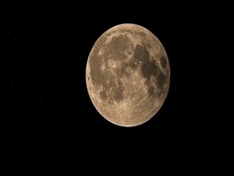 Last Lunar Eclipse Of 2020: November Full Moon Is Also Called Beaver Moon Last Lunar Eclipse Of 2020: November Full Moon Is Also Called Beaver Moon