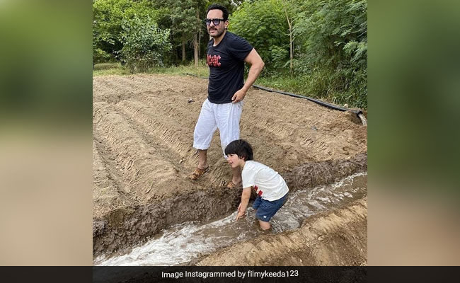 Viral: Pics Of Saif Ali Khan And Taimur Farming In Pataudi