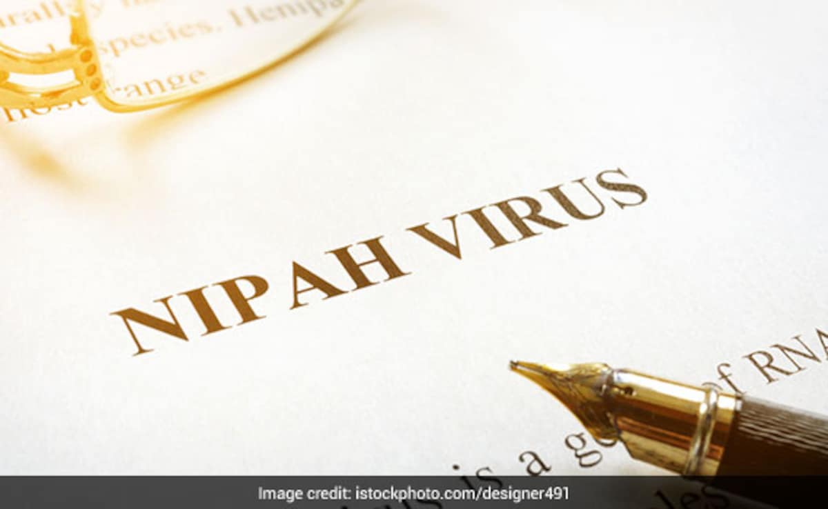 निपाह संक्रम‍ित महिला नर्स की मौत, क्‍या है निपाह वायरस, क्‍यों है इतना जानलेवा, जानें सबकुछ