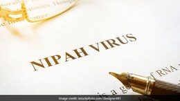 निपाह संक्रम&zwj;ित महिला नर्स की मौत, क्&zwj;या है निपाह वायरस, क्&zwj;यों है इतना जानलेवा, जानें सबकुछ