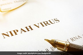 निपाह संक्रम&zwj;ित महिला नर्स की मौत, क्&zwj;या है निपाह वायरस, क्&zwj;यों है इतना जानलेवा, जानें सबकुछ