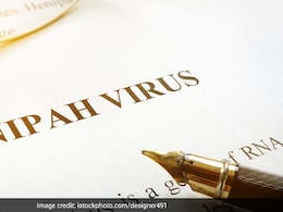 Kerala Says Nipah Virus Outbreak Contained, 472 People Cleared Kerala Says Nipah Virus Outbreak Contained, 472 People Cleared