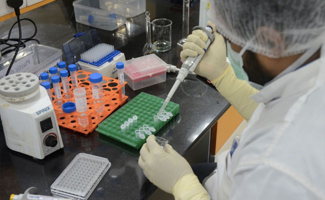 Centre Rejects Volunteer's Claim, Clears Oxford Vaccine Trials In India