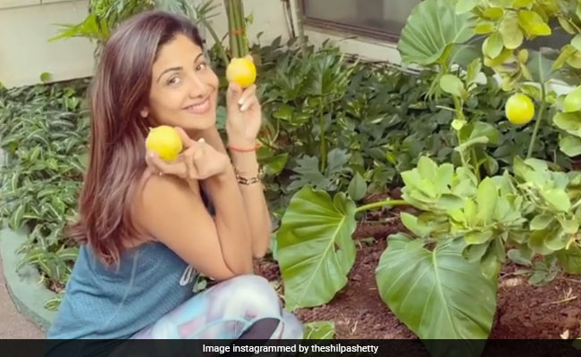 When Life Gives You Lemons, Do What Shilpa Shetty Does