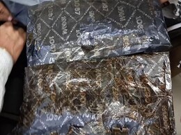 मुम्बई एयरपोर्ट पर  6 करोड़ रुपये कीमत की कोकीन जप्त, DRI ने की कार्रवाई मुम्बई एयरपोर्ट पर  6 करोड़ रुपये कीमत की कोकीन जप्त, DRI ने की कार्रवाई