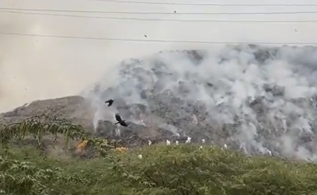 Video: Massive Landfill Catches Fire In Delhi Amid Air Quality Concerns