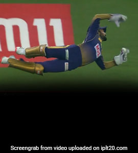 Watch: Dinesh Karthik Flies Like A Bird To Pull Off One-Handed Stunner