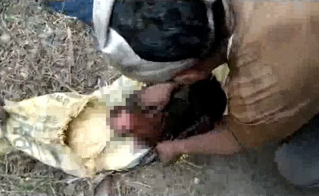 नवजात बच्ची को बैग में भरकर मरने के लिए छोड़ा, राहगीरों ने देखा तो जान बची