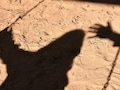 हैवान पिता: नाबालिग बेटी से की छेड़छाड़, विरोध करने पर कुल्हाड़ी से किया हमला, बेटी को बचाने की कोशिश में मां भी घायल