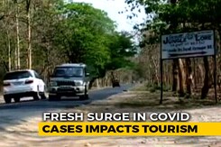 Empty Hotels At Corbett And Ranthambore This Winter Empty Hotels At Corbett And Ranthambore This Winter