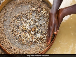 She Was Out Collecting Firewood, Found A 4.3 Carat Diamond She Was Out Collecting Firewood, Found A 4.3 Carat Diamond