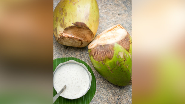 <i>Elaneer Payasam</i>: A Delicate South Indian Cold Dessert You Can Easily Make At Home (Recipe Inside)
