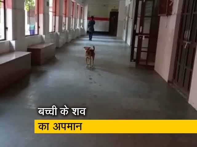 उत्तर प्रदेश के संभल में जिला अस्पताल की लापरवाही आई सामने