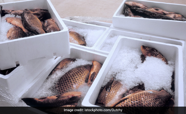 China Says Fish Imports From Indian Firm Suspended As Coronavirus Found