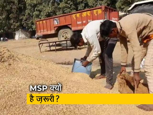 MSP कितना अहम है किसानों के लिए?