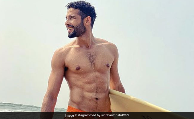 "<I>Koi Poetry Bhi Par Lo Yaar</i>": Siddhant Chaturvedi's Surfing Pics Distract Instagram