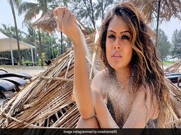 टीवी की 'इच्छाधारी नागिन' निया शर्मा Goa Beach पर यूं रेत से खेलती आईं नजर, Photo हुईं वायरल टीवी की 'इच्छाधारी नागिन' निया शर्मा Goa Beach पर यूं रेत से खेलती आईं नजर, Photo हुईं वायरल