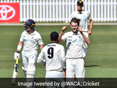 'Won't See A Better Catch': Aus Cricketer Takes One-Handed Blinder. Watch