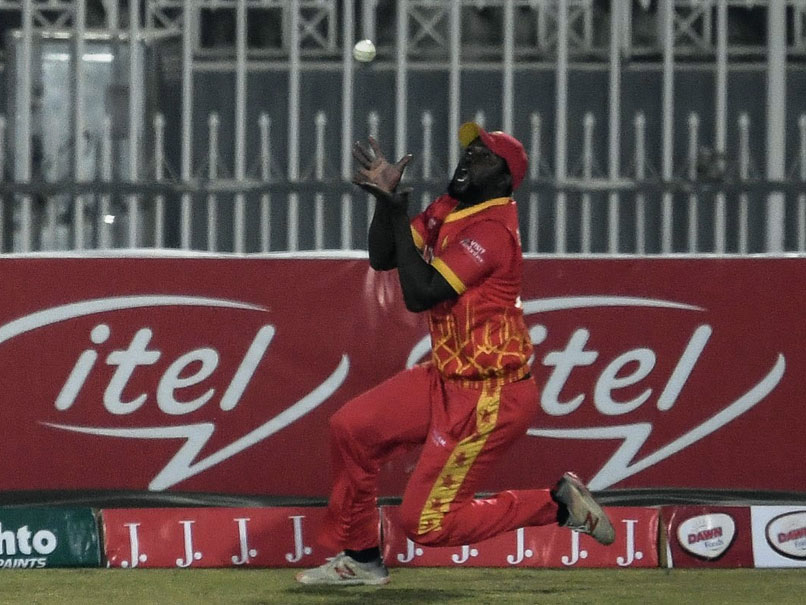 PAK vs ZIM: Zimbabwe Star Elton Chigumbura To Retire After Pakistan Tour