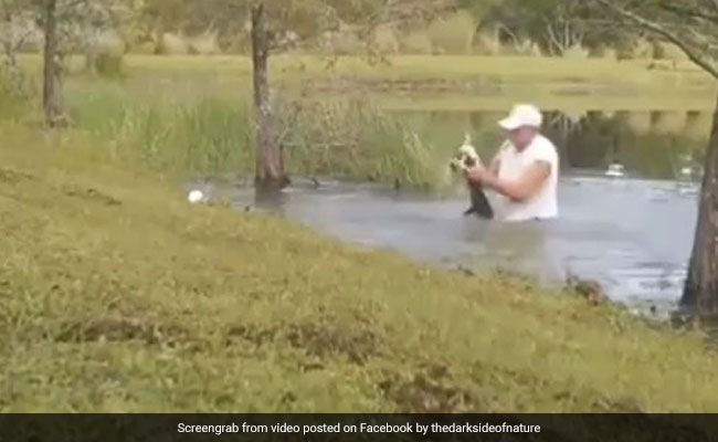 Man Jumps Into Water, Pries Open Jaws Of An Alligator To Rescue Dog. Watch