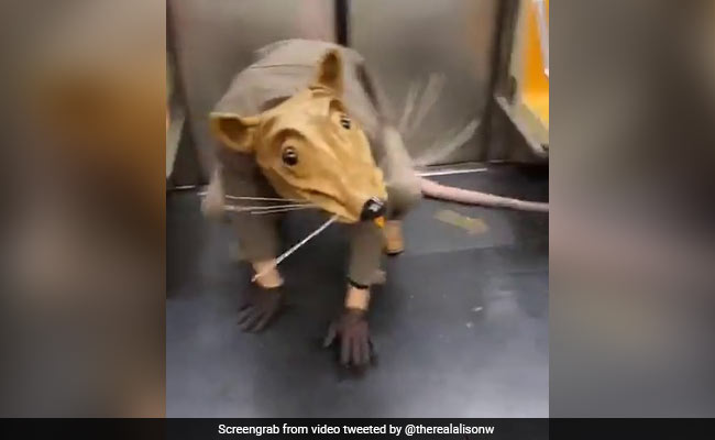 Man In Giant Rat Costume Rides NYC Subway. Bizarre Video Is Viral