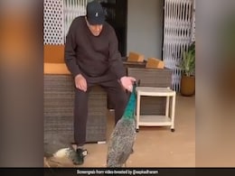 धर्मेंद्र ने मोरनी को दाना खिलाते हुए शेयर किया Video, लिखा- मोर को भी साथ ले आई... धर्मेंद्र ने मोरनी को दाना खिलाते हुए शेयर किया Video, लिखा- मोर को भी साथ ले आई...