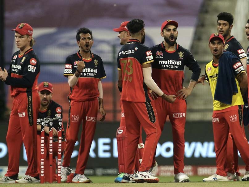 IPL 2020: England Cricketer Trolls RCB With MS Dhoni's "Definitely Not" Viral Quote