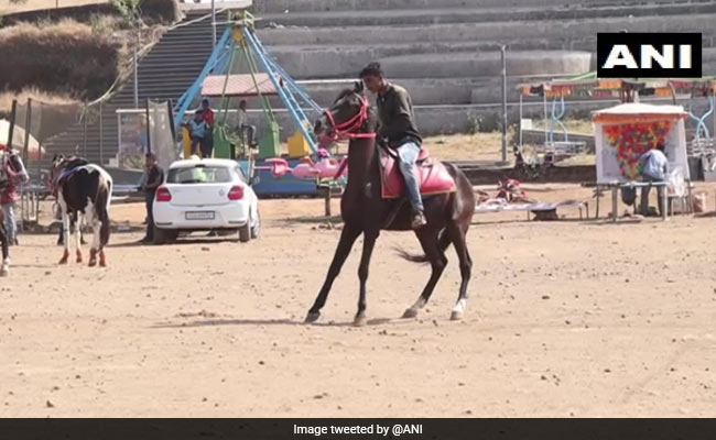 कोविड-19 की वजह से गुजरात के सापुतारा हिल स्टेशन में लोगों का आना हुआ कम