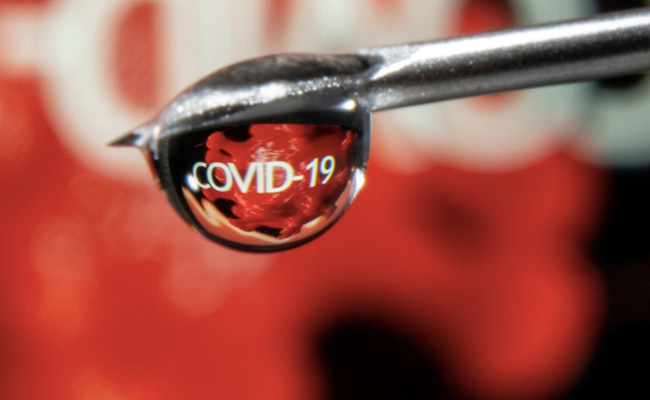 Zydus Cadila Seeks Human Trial Approval For COVID-19 Antibody Cocktail