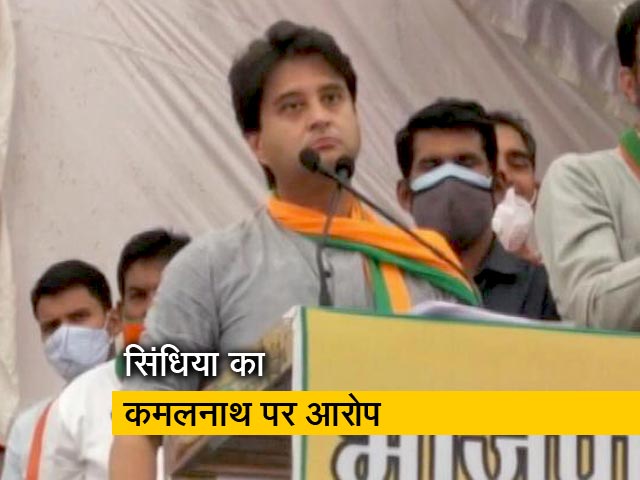 कमलनाथ को ज्योतिरादित्य सिंधिया का जवाब- 'हां मैं कुत्ता हूं...'