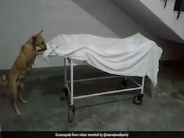 UP के सरकारी अस्पताल का हाल- ऑन कैमरा नाबालिग लड़की की लाश नोचता रहा कुत्ता, VIDEO वायरल UP के सरकारी अस्पताल का हाल- ऑन कैमरा नाबालिग लड़की की लाश नोचता रहा कुत्ता, VIDEO वायरल