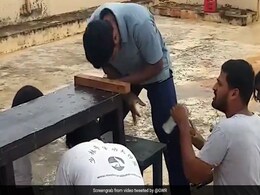 शख्स ने एक मिनट में खोले सोडे की 68 बॉटलों के ढक्कन, छत पर बना डाला गिनीज वर्ल्ड रिकॉर्ड - देखें Video शख्स ने एक मिनट में खोले सोडे की 68 बॉटलों के ढक्कन, छत पर बना डाला गिनीज वर्ल्ड रिकॉर्ड - देखें Video