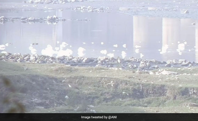 High Ammonia In Yamuna River To Affect Water Supply In Parts Of Delhi