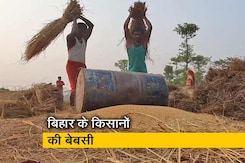 बिहार में किसानों को नहीं मिल रहा धान का सही दाम, आधी कीमत में बेचने को मजबूर बिहार में किसानों को नहीं मिल रहा धान का सही दाम, आधी कीमत में बेचने को मजबूर