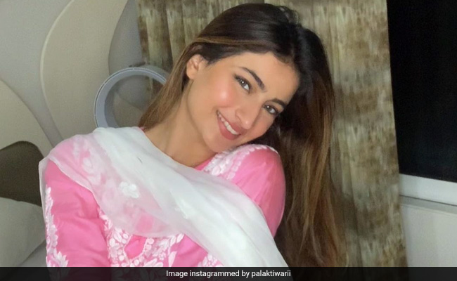 श्वेता तिवारी की बेटी Palak Tiwari ने पिंक सूट में दिखाया ऐसा अंदाज, खूबसूरत Photos ने जीता फैन्स का दिल