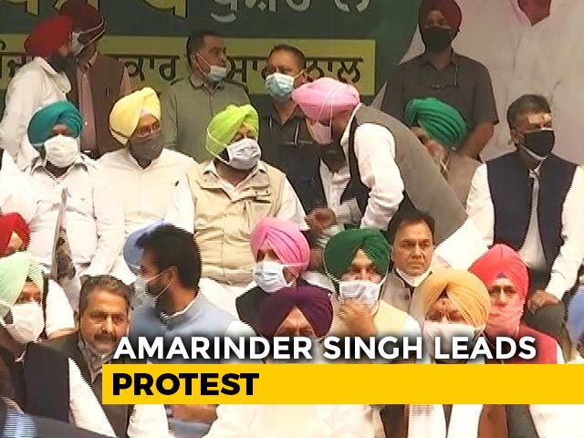 Punjab Chief Minister, Navjot Sidhu, MLAs Protest In Delhi